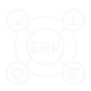 erp support