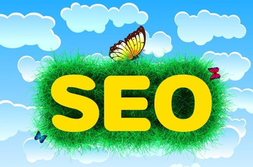 Organic SEO