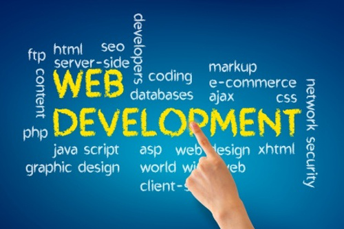web application development